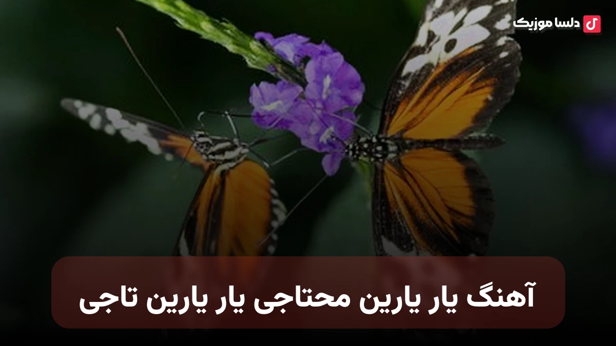 ترکی یار یارین محتاجی یار یارین تاجی